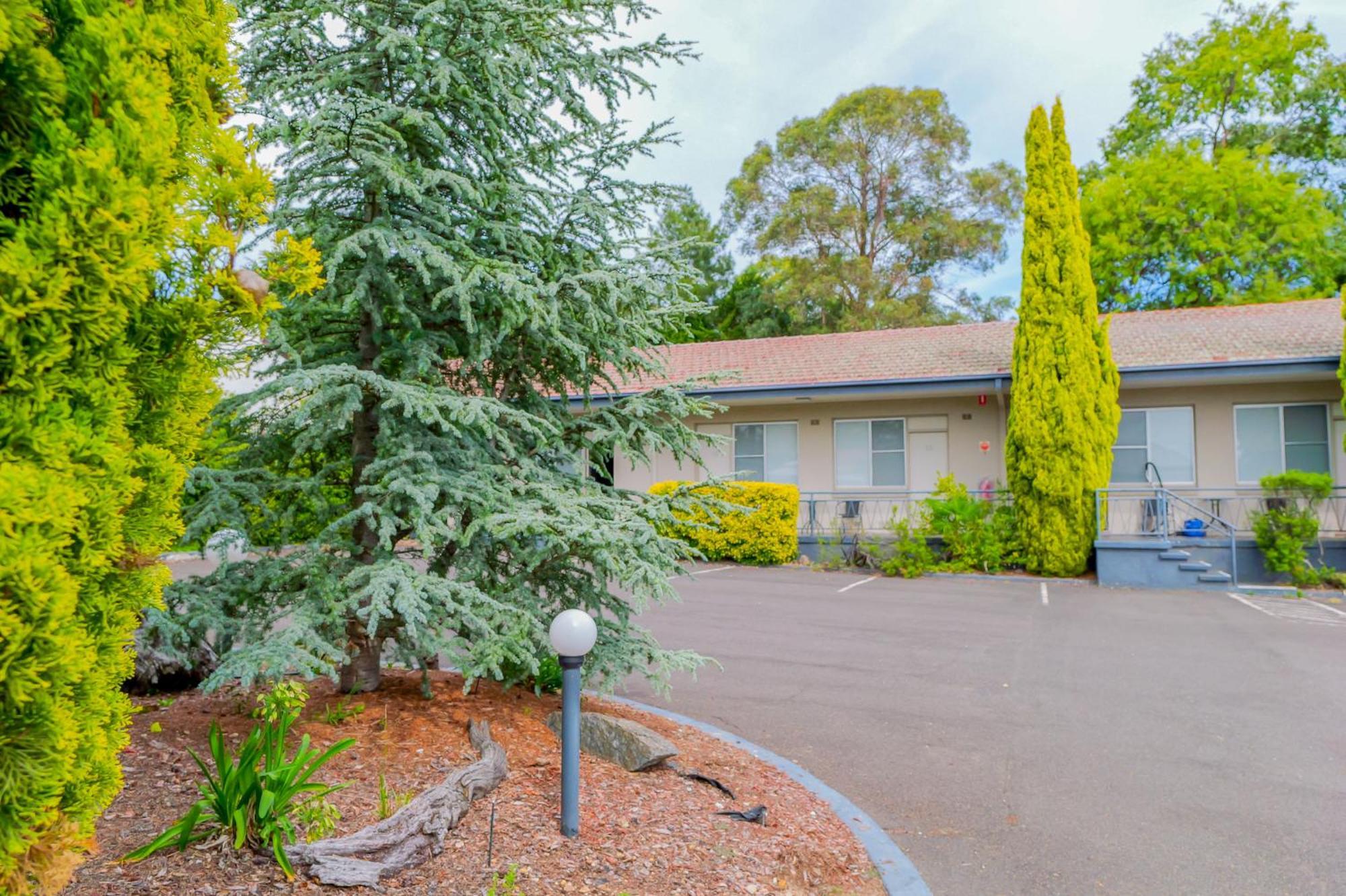 Abbotsleigh Motor Inn Armidale Eksteriør billede